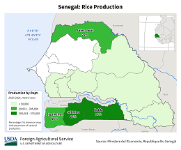 images\SG\cropprod\Senegal_Rice_preview.png
